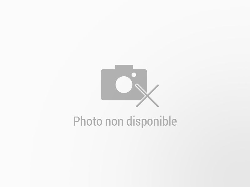 LEXUS UX d’occasion à vendre à MONTFAVET