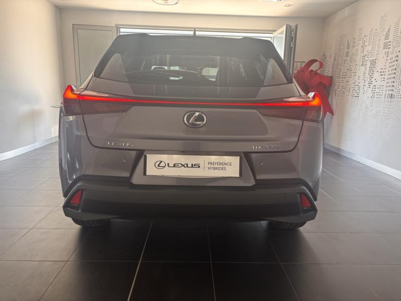 LEXUS UX d’occasion à vendre à MONTFAVET chez VDA (Photo 12)