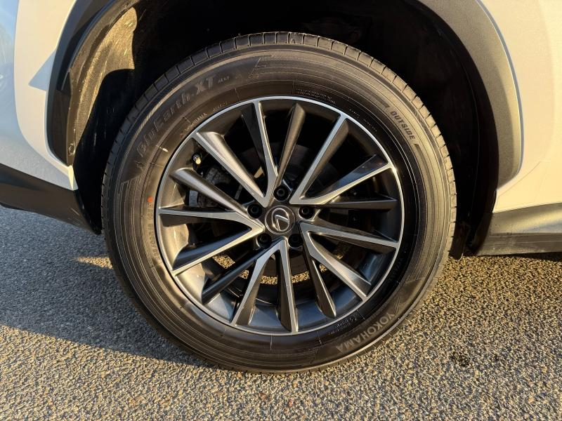 LEXUS NX d’occasion à vendre à MONTFAVET chez VDA (Photo 14)